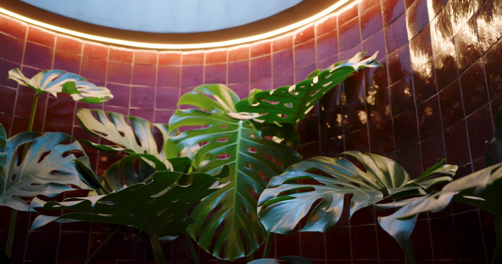 The ensuite with greenery