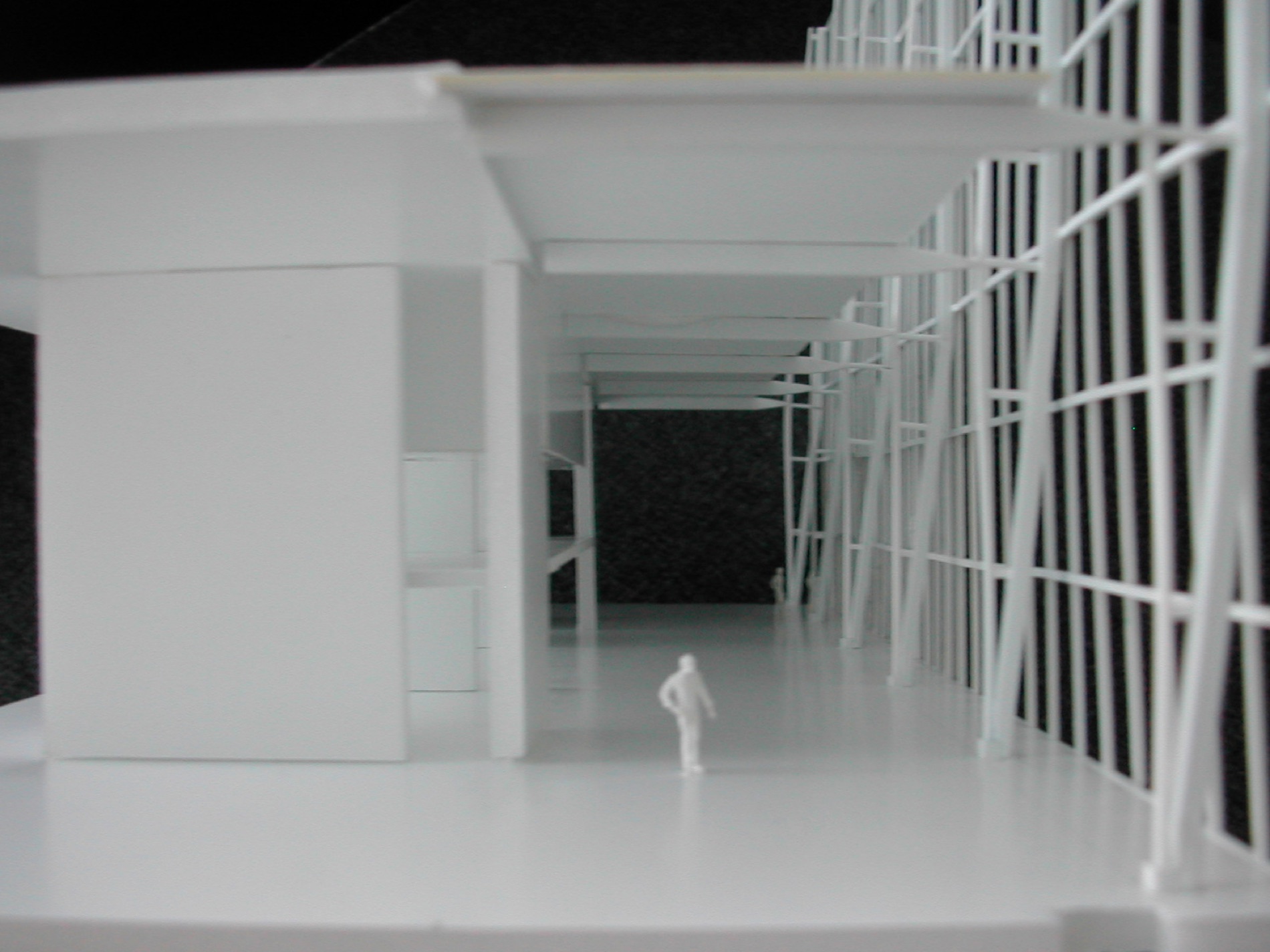 The penthouse model