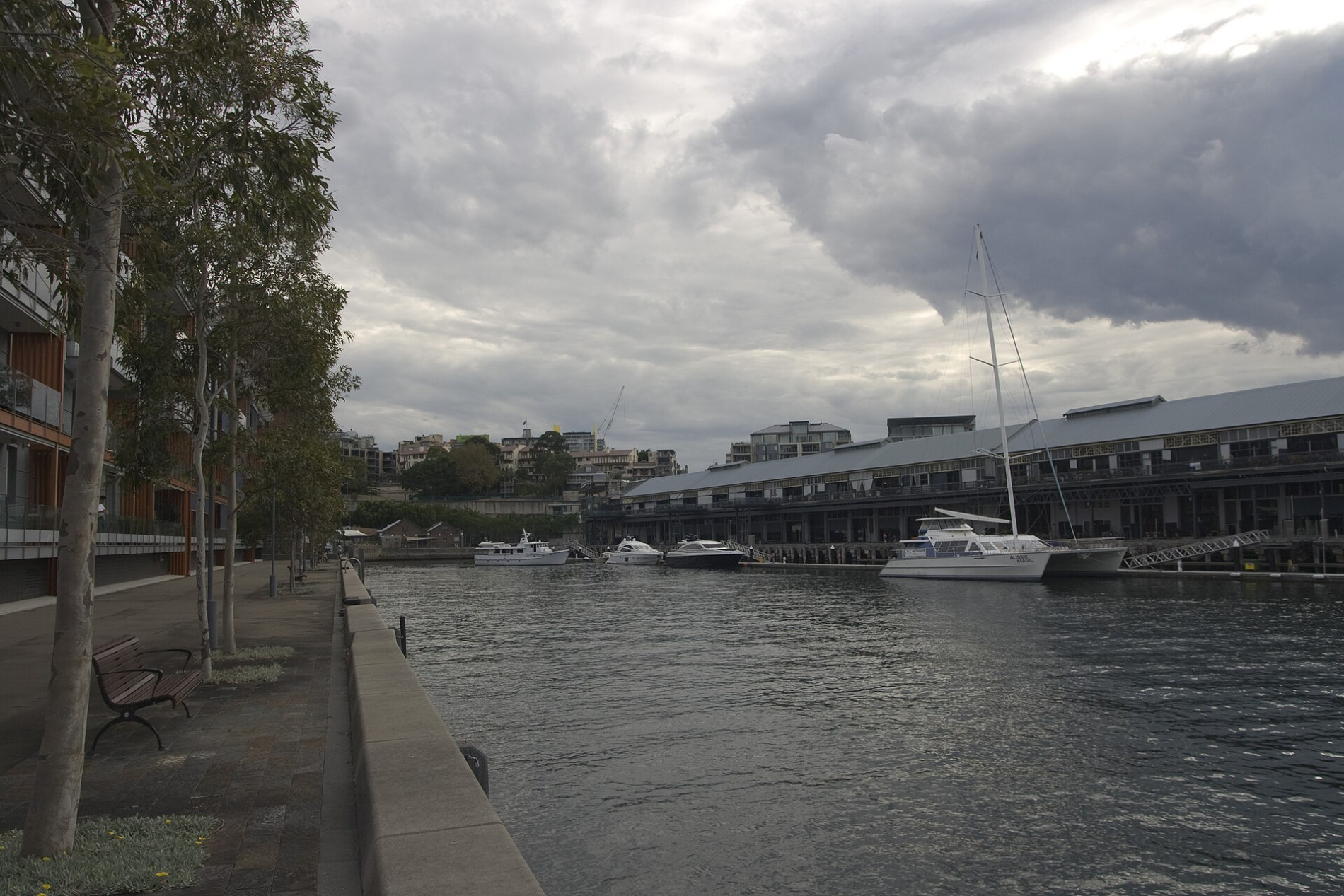 Darling Island, Pyrmont, location of Doltone House, host venue for GBCA TRANSFORM 2027