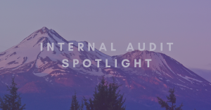 Internal Audit spotlight