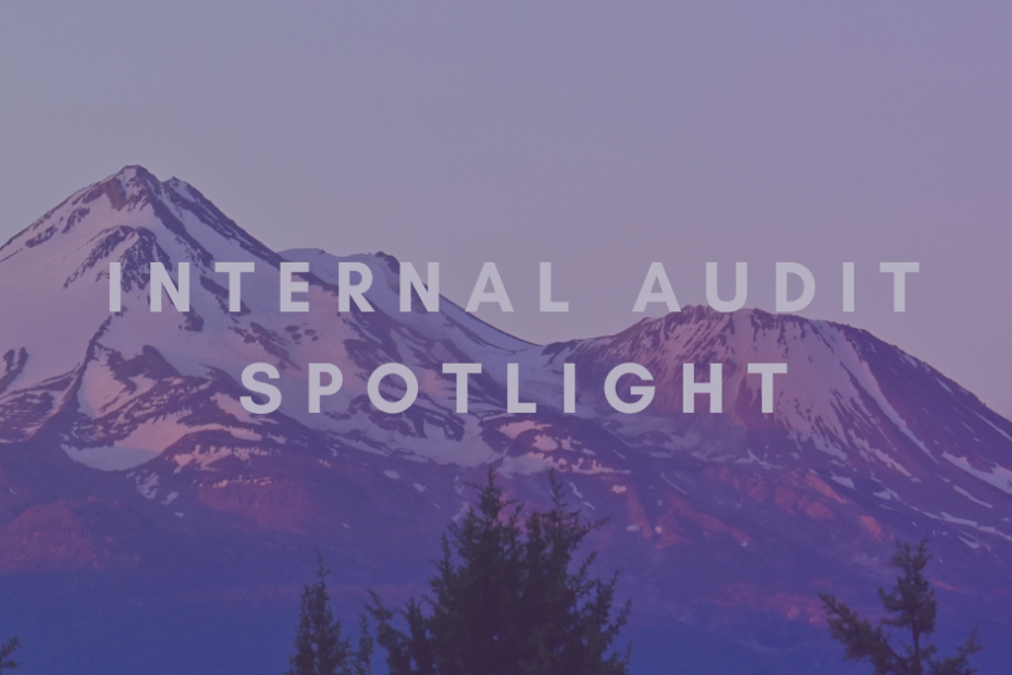 Internal Audit spotlight