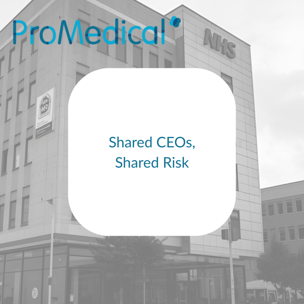 Shared CEOs, Shared Risk